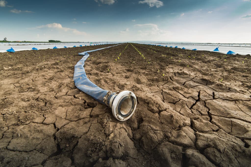 Will Pacific Northwest Crops Survive The Summer Heat?