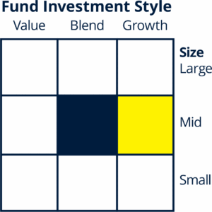 Morningstar Style Box™ fund investment style interpretation HFG Trust